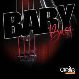 Imagen de la libreria Samples Baby Bass en formato Kontakt de areito producciones