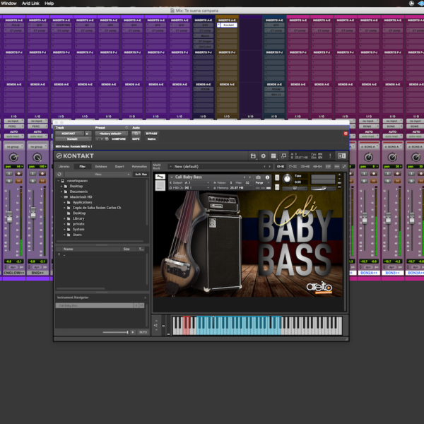 Imagen de Cali Baby Bass en Formato Kontakt dentro de la sesión de Pro Tools